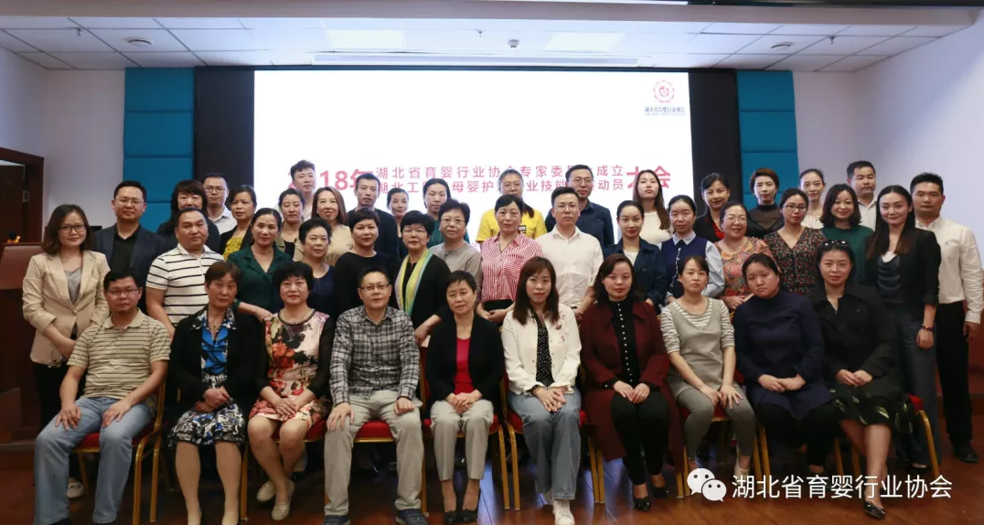 湖北省育婴行业协会专家委员会正式成立