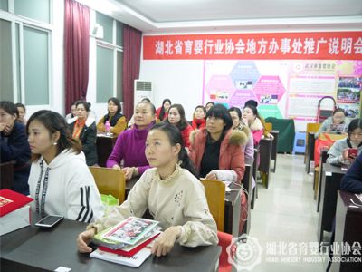 湖北省育婴行业协会地方办事处推广说明会